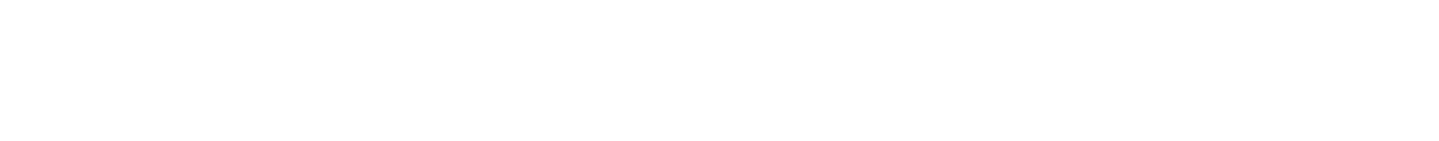 VECTORFLY